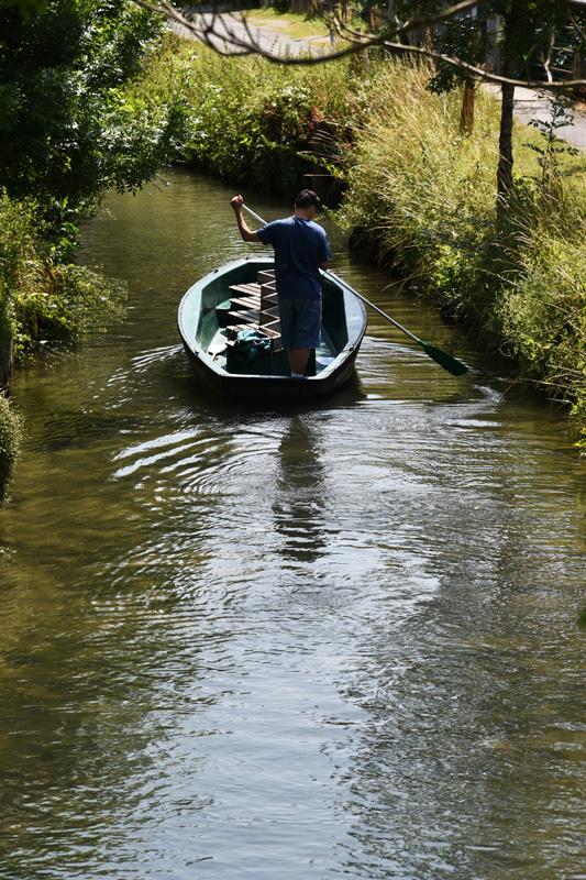 min 2025 06 08 Marais Poitevin 175